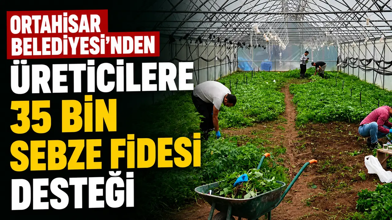 Ortahisar Belediyesi’nden üreticilere 35 bin sebze fidesi desteği