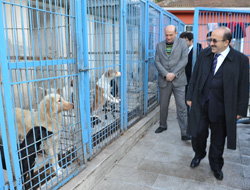 Başkan Gümrükçüoğlu'ndan uyarı