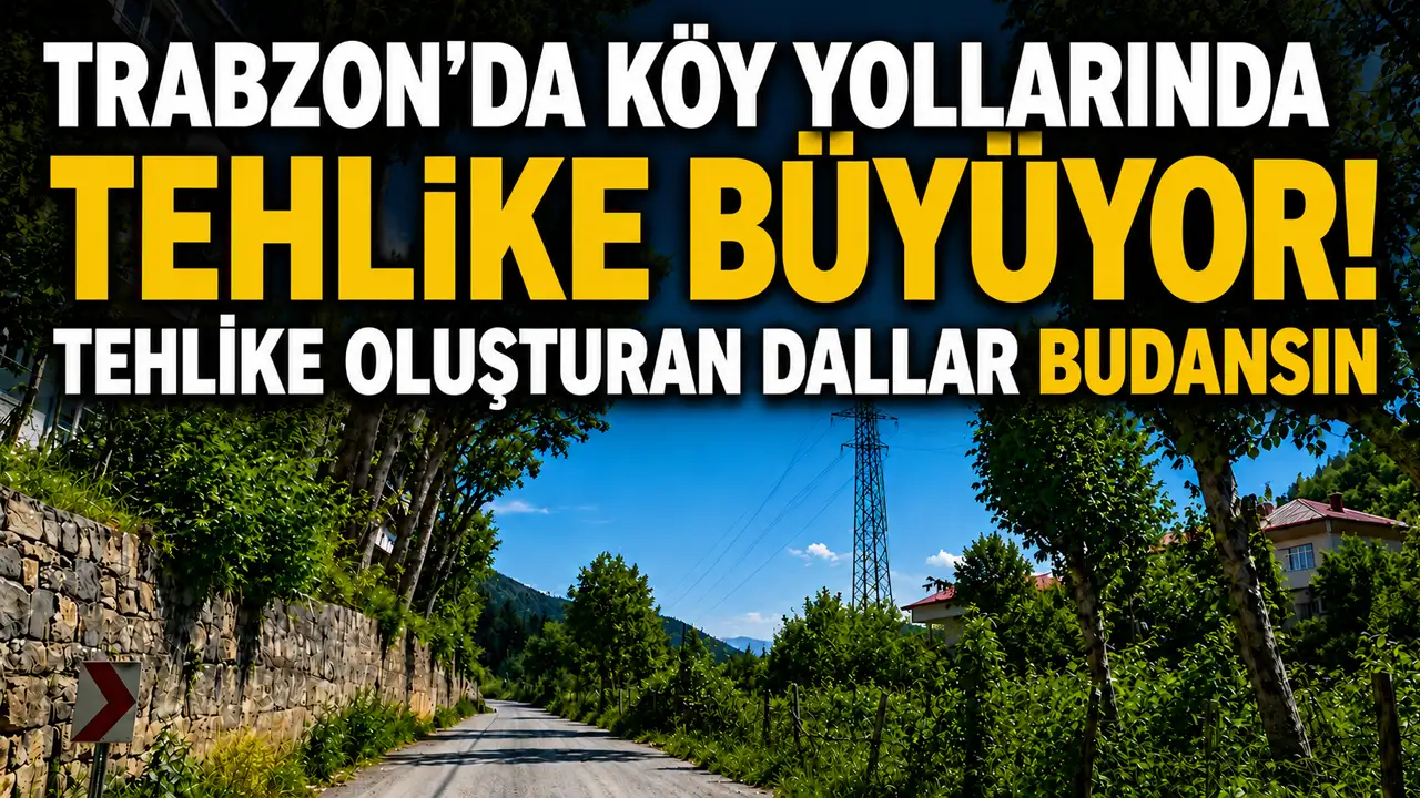 Trabzon’da köy yollarında tehlike büyüyor! Tehlike oluşturan dallar budansın