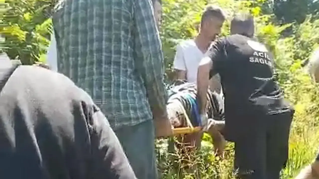 Rize’de kiraz toplarken ağaçtan düştü, hastaneye kaldırıldı