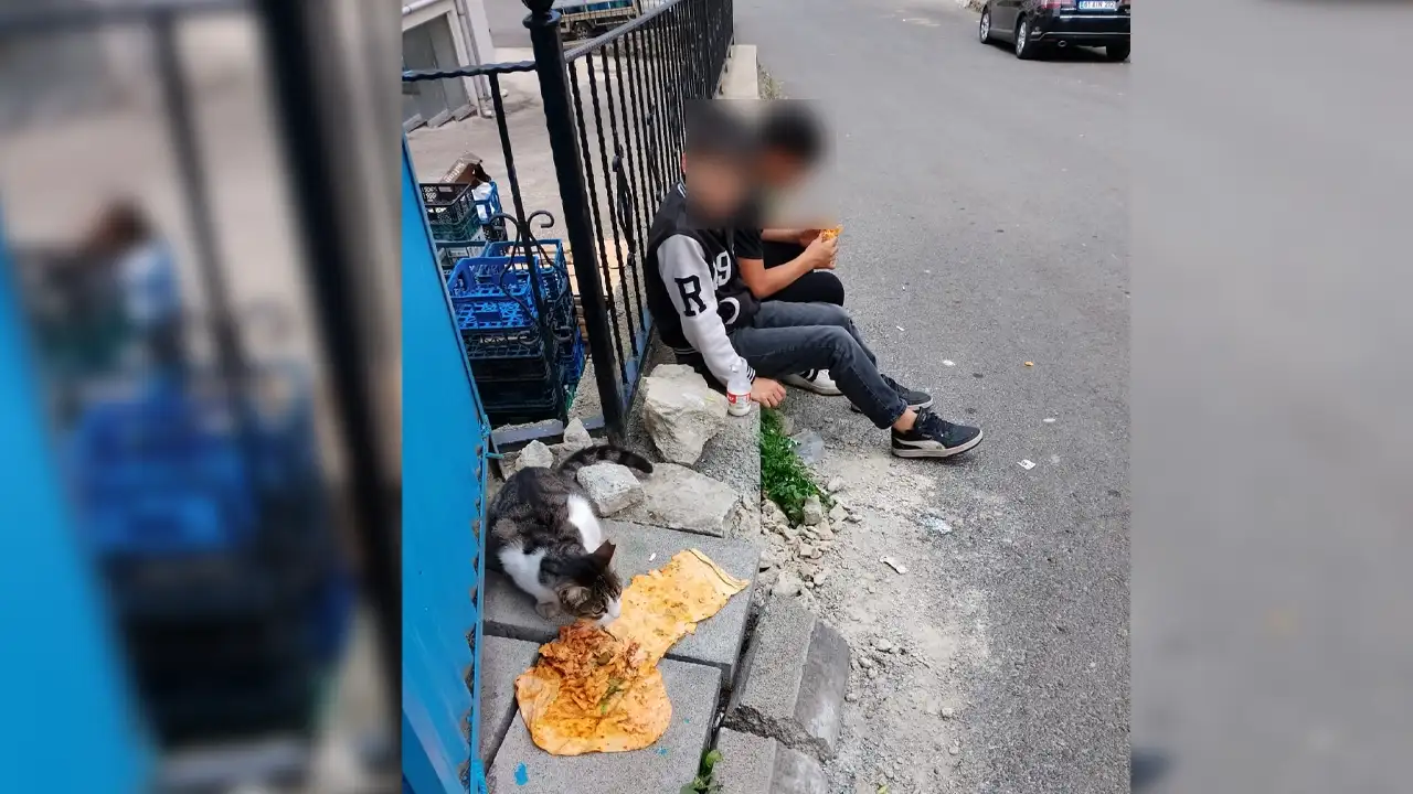 Trabzon’da yürek ısıtan görüntü! Aç kediyi böyle besledi