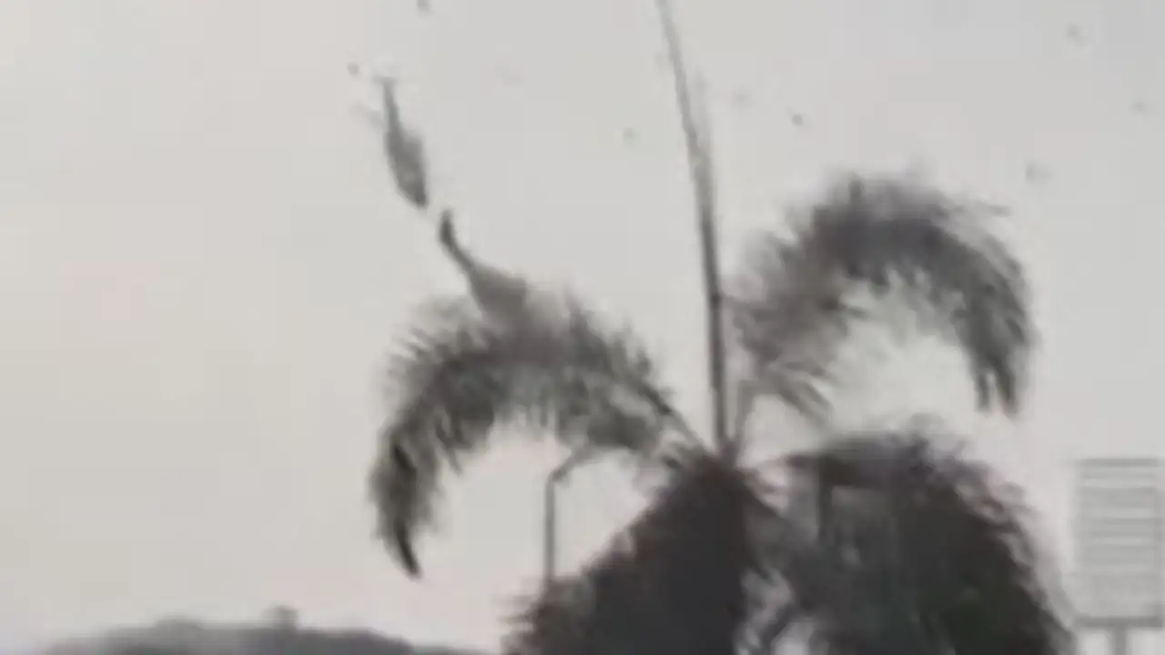Helikopterler havada çarpıştı! 6 ölü