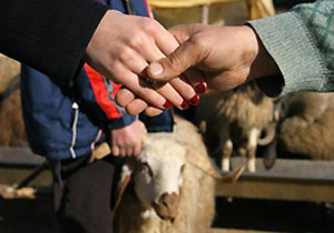 Uygunsuz kurbanın bedeli