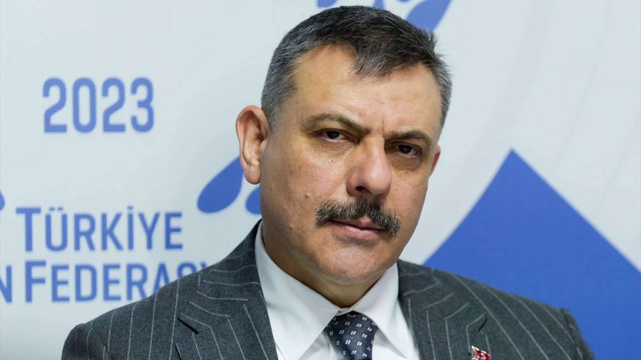 İçişleri Bakanı Çiftçi açıkladı: "Yılbaşına kadar tüm köpekler barınaklarda olacak"