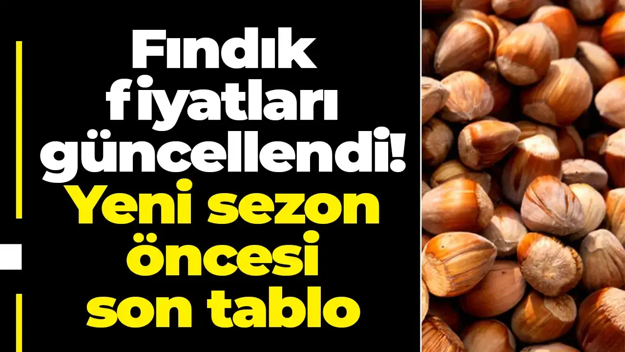 Fındık fiyatları güncellendi! Yeni sezon öncesi son tablo