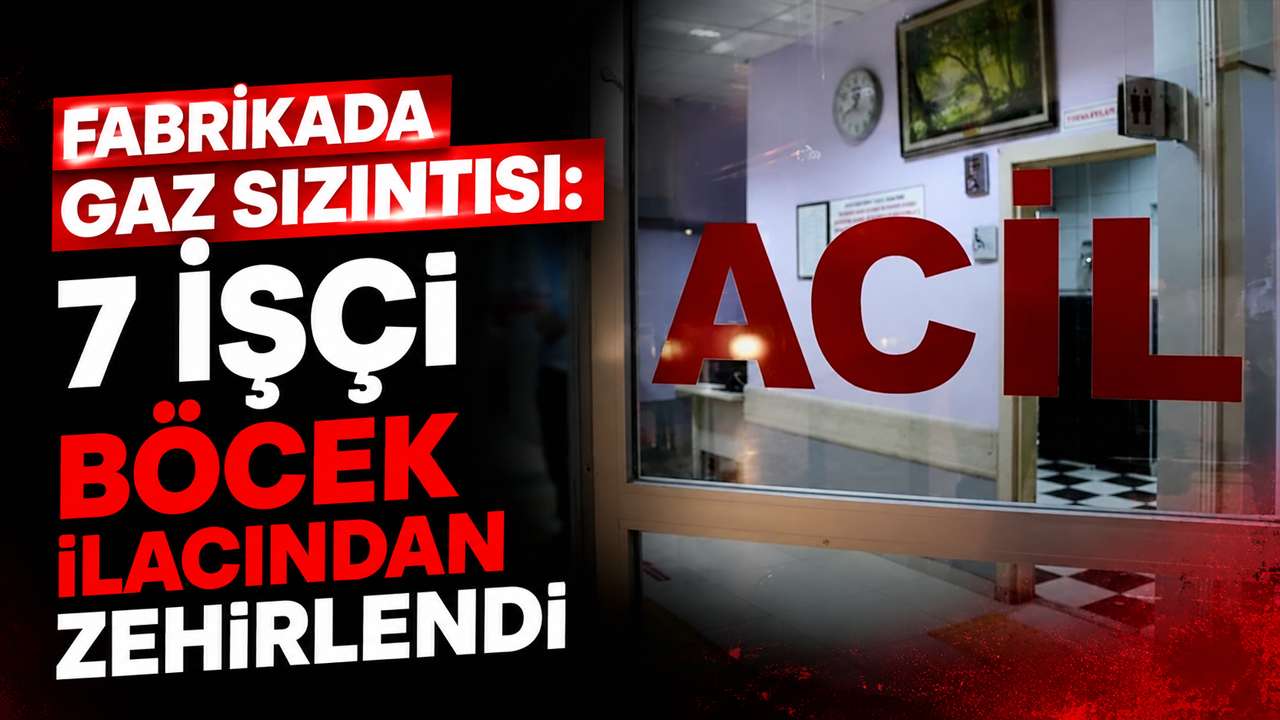 Fabrikada gaz sızıntısı: 7 işçi böcek ilacından zehirlendi