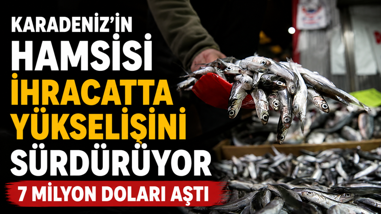 Karadeniz’in hamsisi ihracatta yükselişini sürdürüyor 7 milyon doları aştı