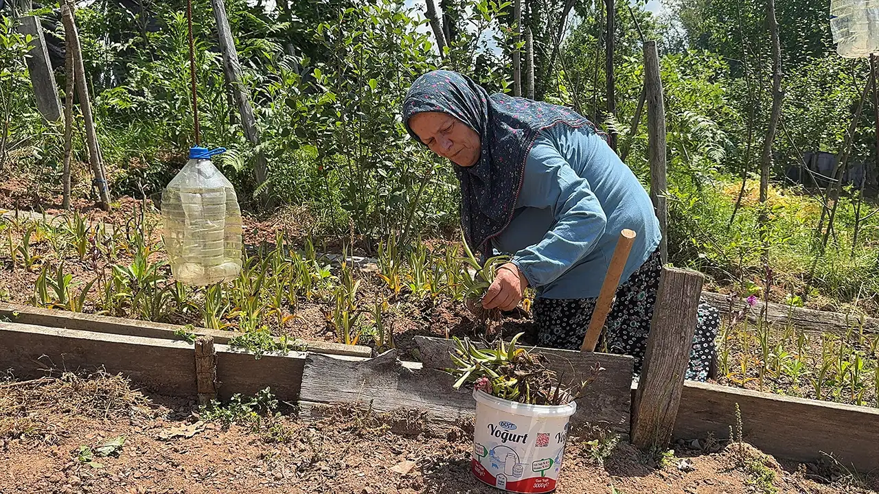 Sosyal medyada gördü: Giresun’da salep üreticisi oldu