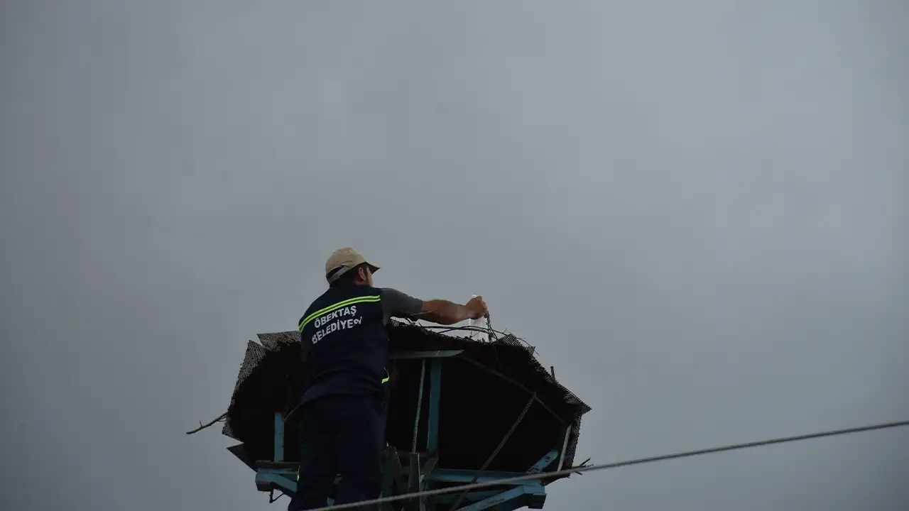 Gümüşhane eşi ölen leyleğin yavrularına belediye sahip çıktı