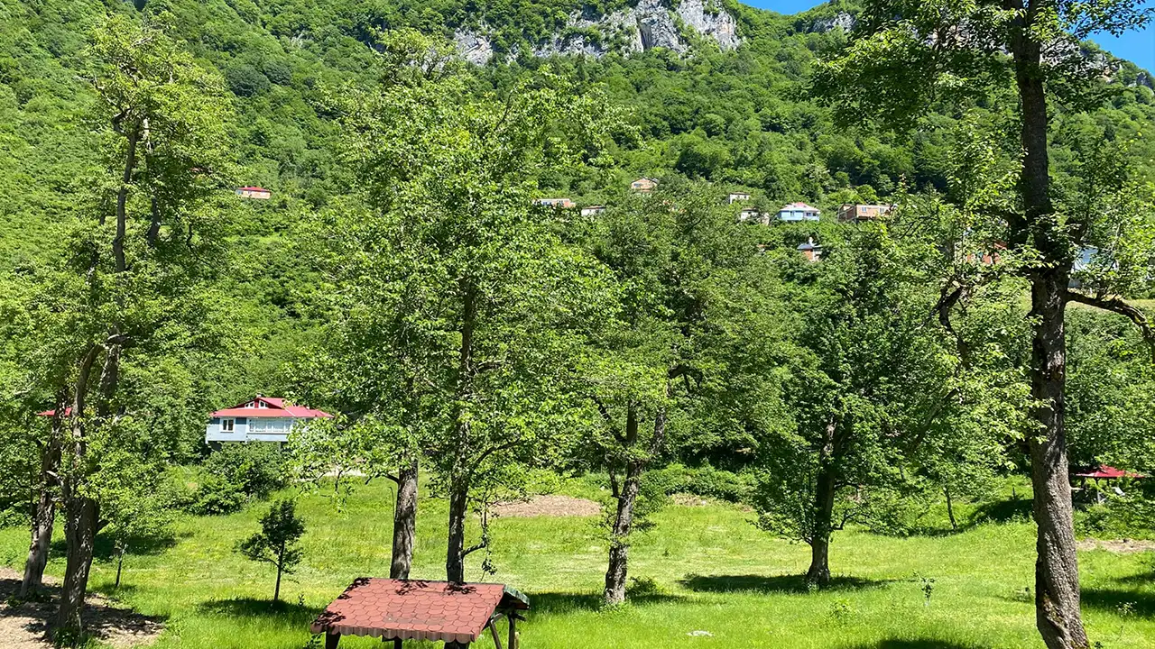 Giresun’da fidan dikimi, bahar şenliği ve el sanatları sergisi