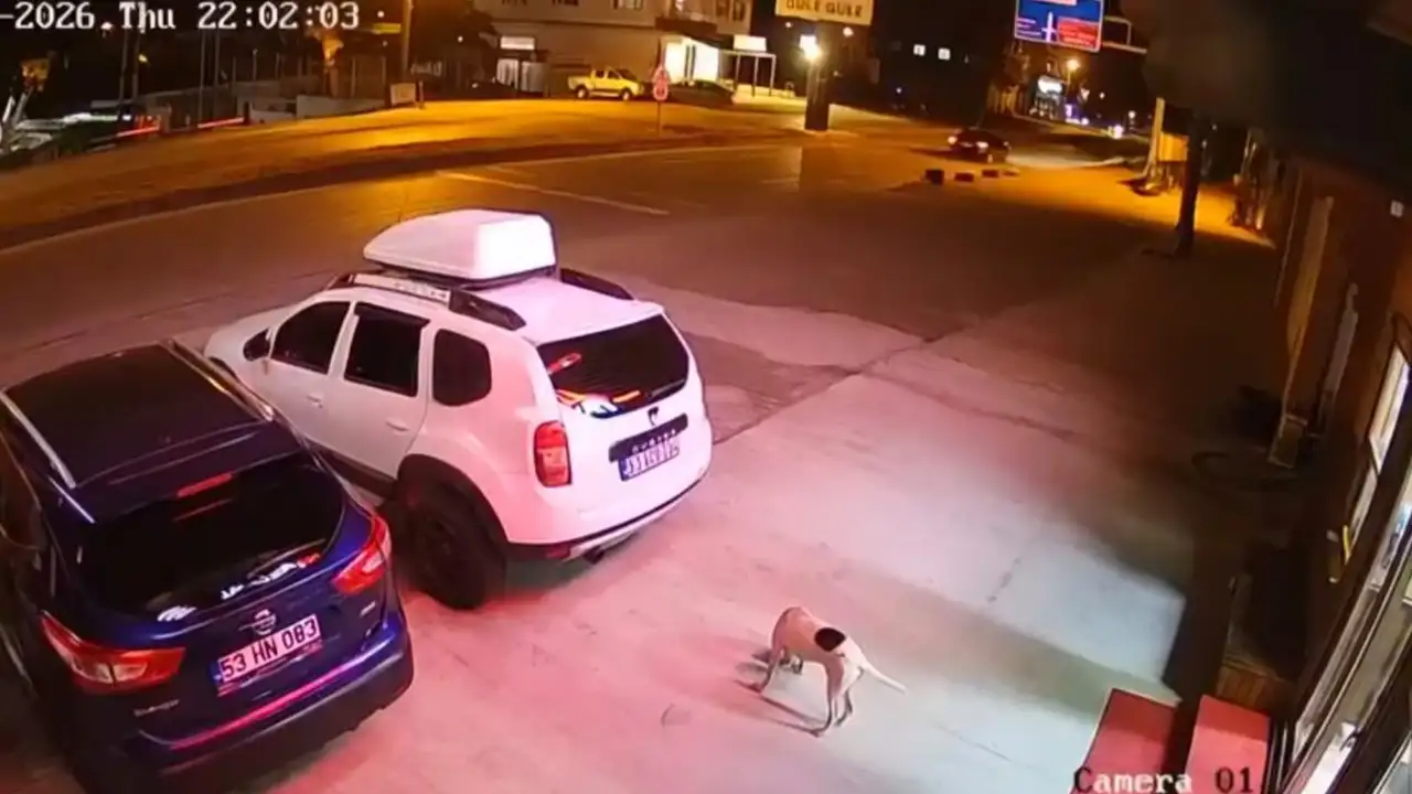 ATV kazası can aldı! Köpeğe çarpmamak isterken hayatını kaybetti