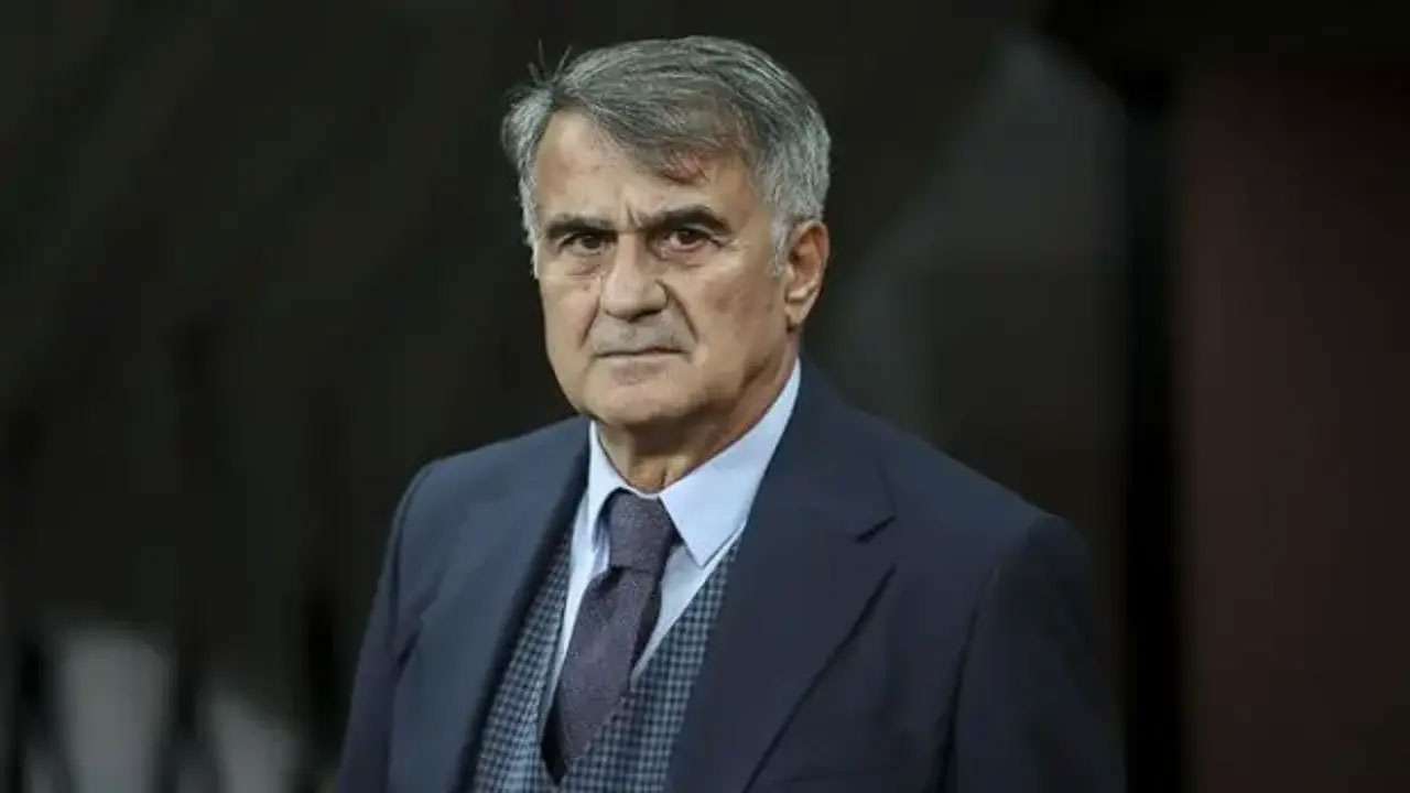 Şenol Güneş'ten Milli Takım yorumu: "Çeyrek final bekliyorduk"