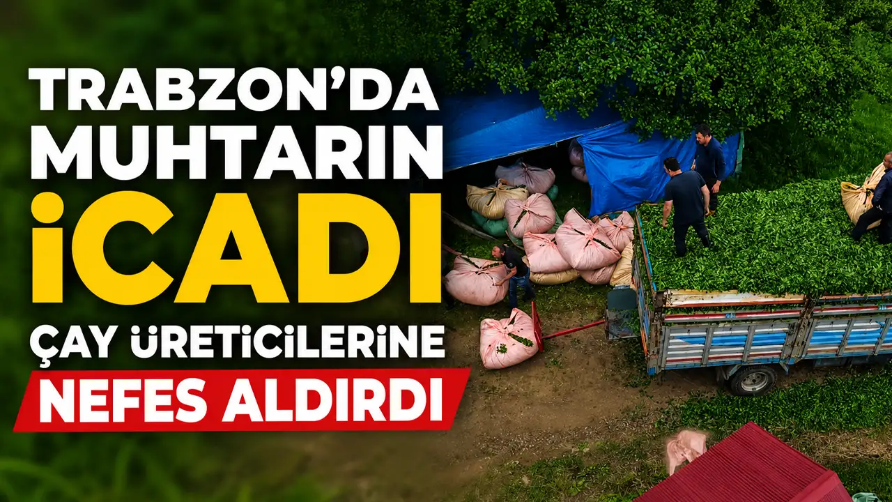 Trabzon'da muhtarın icadı çay üreticilerine nefes aldırdı