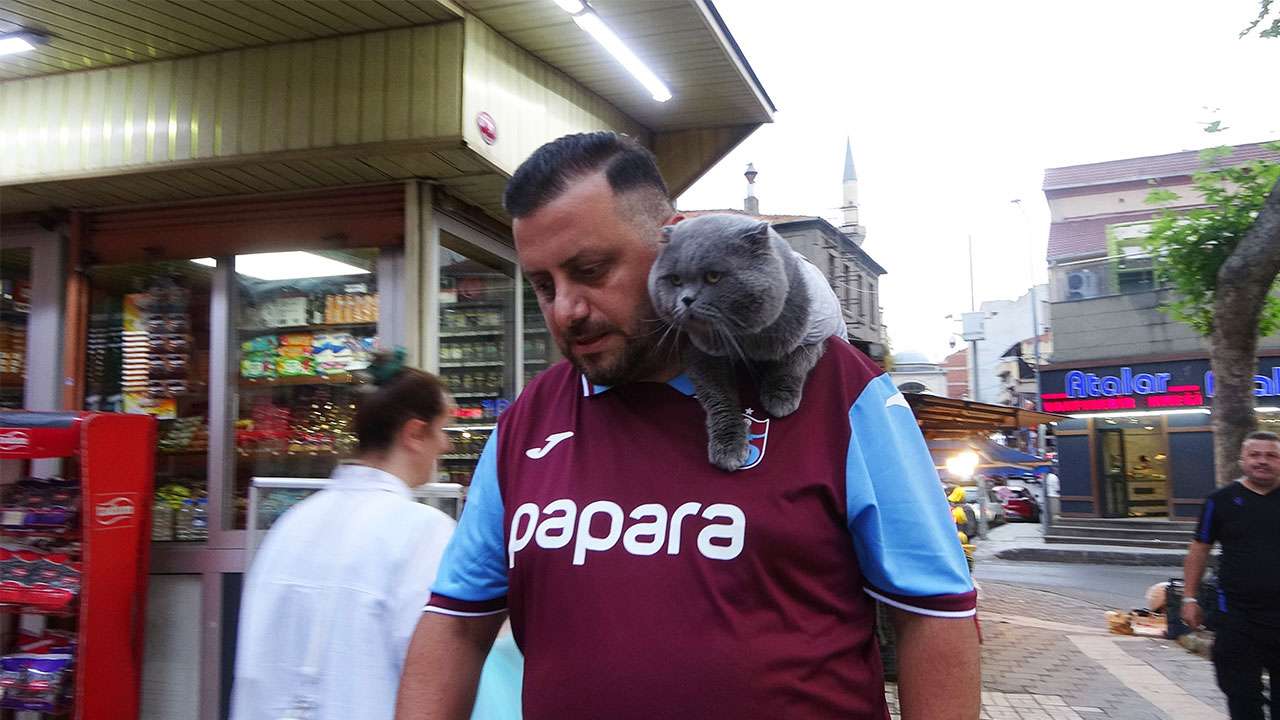 Kayıp kedi 'Tom' 4 gün sonra bulundu
