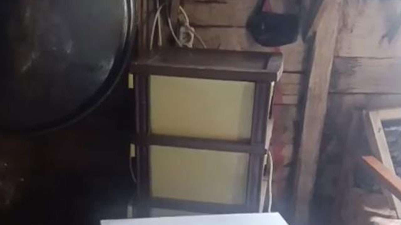 Rize'de yaylada ayı paniği! Yaklaşık 20 eve girdi