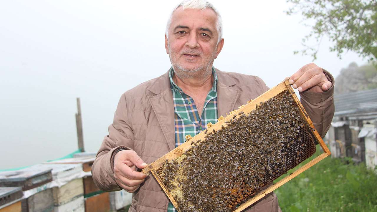 Anzer Balı'nın yeni sezon kilogram satış fiyatı 7 Bin TL olarak belirlendi