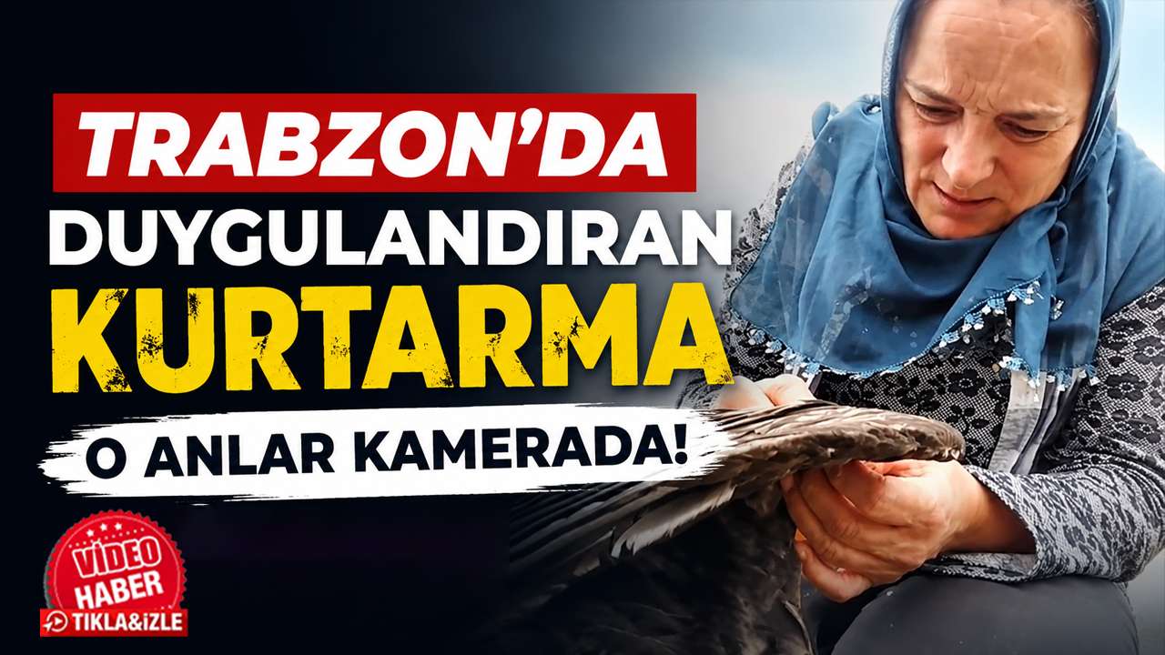 Trabzon'da duygulandıran kurtarma: O anlar kamerada!