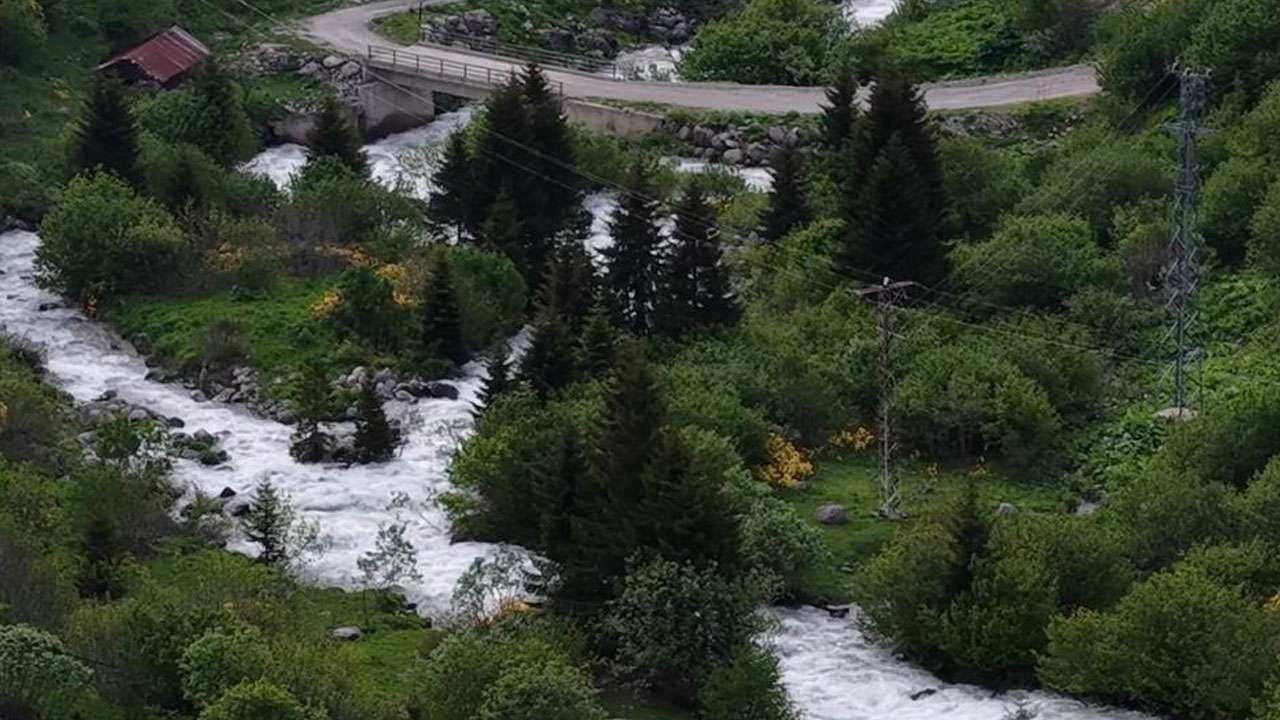 Rize yaylaları yeniden yeşile büründü! Kartpostallık manzaralar geri döndü