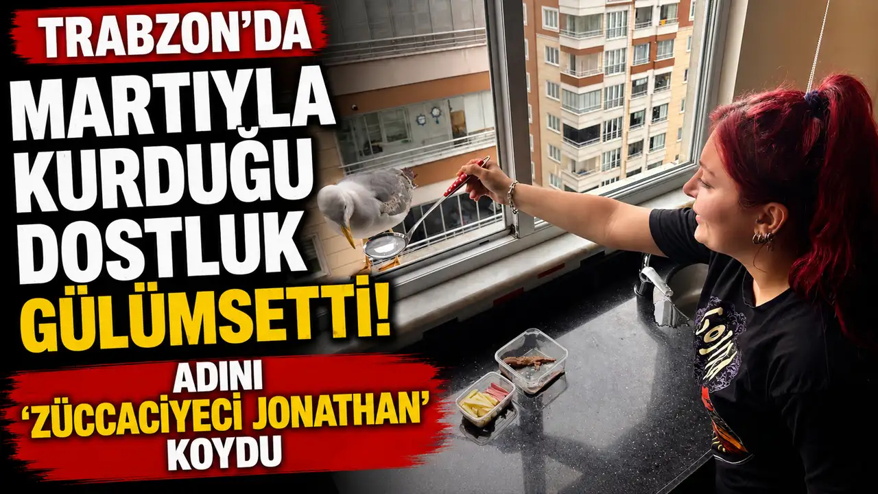 Trabzon'da martıyla kurduğu dostluk gülümsetti! Adını 'Züccaciyeci Jonathan' koydu