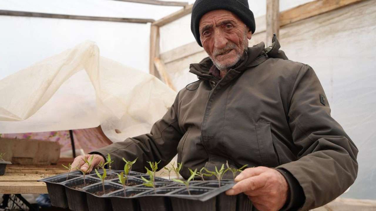 Bayburtlu çiftçiden ata tohumlarına gönüllü destek! Fideleri ücretsiz dağıtıyor