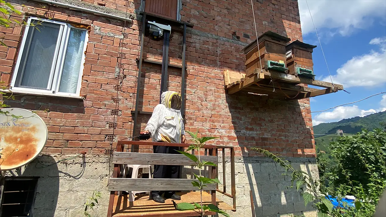 Rize'de ayılara karşı ilginç çözüm! Kovanlarını evin duvarına astı