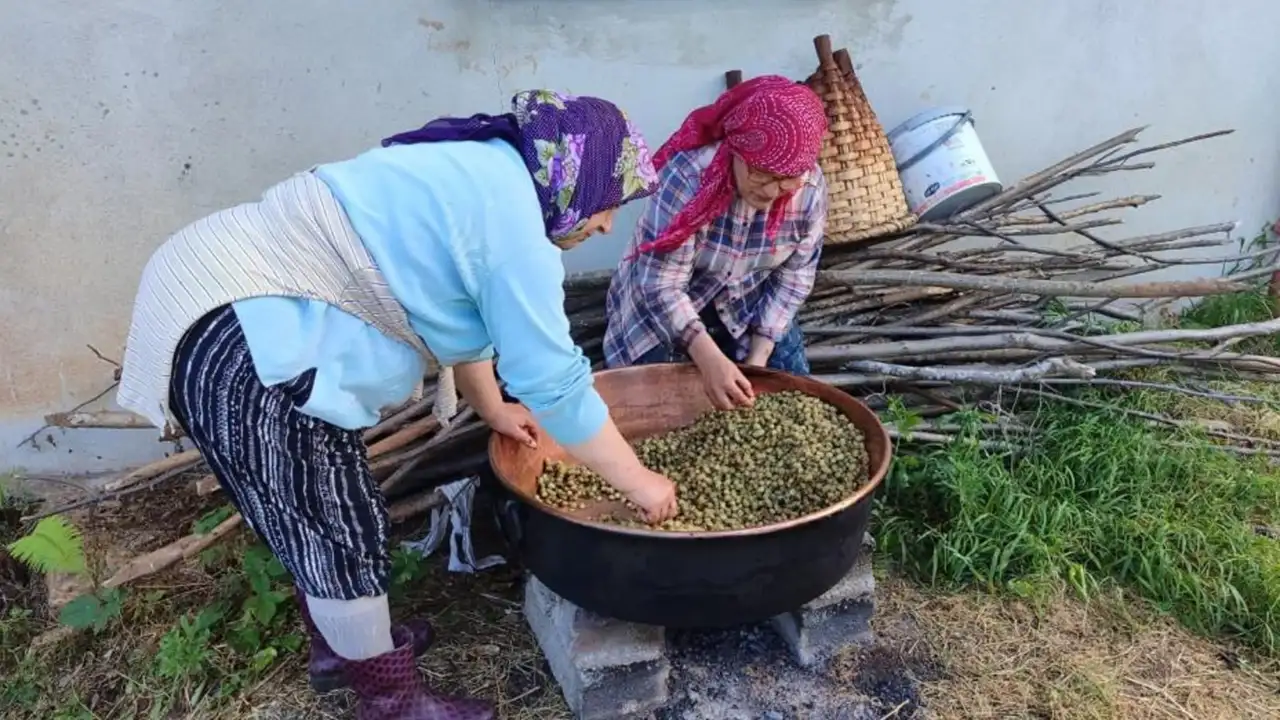 Giresun'da dut pekmezi mesaisi başladı! Kış hazırlıkları hız kazandı