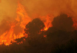 30 dönümlük alan yok oldu