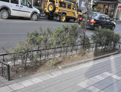 Trabzon'u çöplüğe döndürdüler