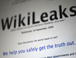 WikiLeaks'ın fişini çektiler