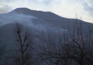 Rize Ardeşen'de orman yandı