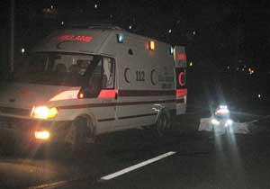 Nar tanesi Trabzon'da can aldı