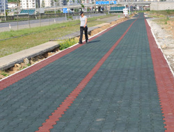 Trabzon'da sahiller temizleniyor