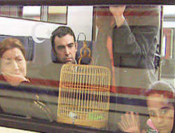 Şevket Trabzon biletlerini saklasın