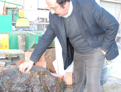 Maden sahaları işletiliyor mu?