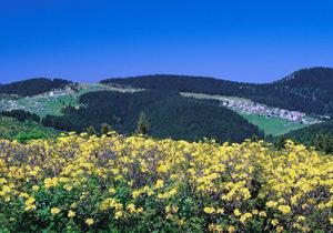 Turistlerin Karadeniz Hayranlığı