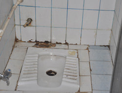 Bu salona bu tuvalet yakıştı mı?