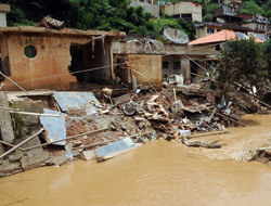 Brezilya'da 803 kişi selden öldü