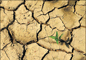2011'de kuraklık tehlikesi!