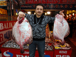 Karadeniz'de Dev Kalkan bereketi