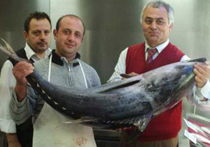 Trabzon'da Dev Orkinos şaşırttı!