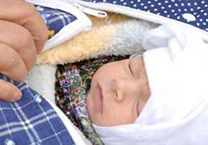 Poşetleyip çalılığa attılar!