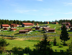 Kayabaşı yaylakent kapandı!