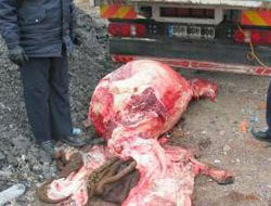 Vatandaşa leş yedireceklerdi!