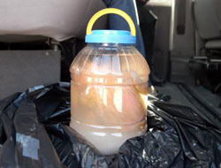 Bebeğini tuvalette doğurup kaçtı!