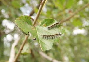 Karadeniz'de muhteşem keşifler