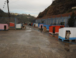 Trabzon onlara sahip çıktı!