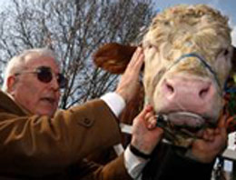 CHP'li Vekil meclise boğayla geldi