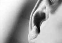 Kulağını kesip yedirdiler!