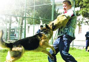 Polislere köpek engeli