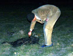 Tüyler ürpeten vahşet!